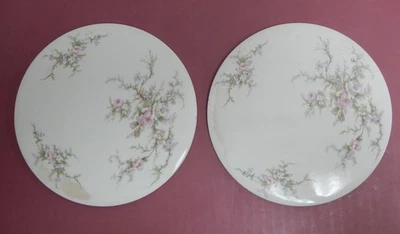 Juego de dos remaches Arcadian Fine China "Old Rose" sin marcas de fabricante Foto 1 de 4