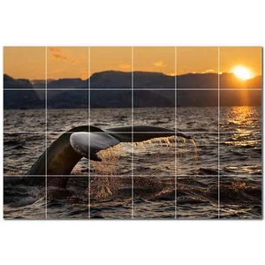 Whale Ceramic Tile Wall Mural PT501185. 25.5" W x 17" H (24) 4.25 tiles - Photo 1/1