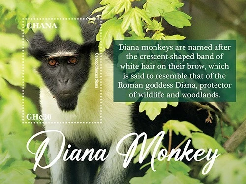 2023/02 - GHANA - DIANA MONKEY       6V    MNH ** - Image 1 of 1