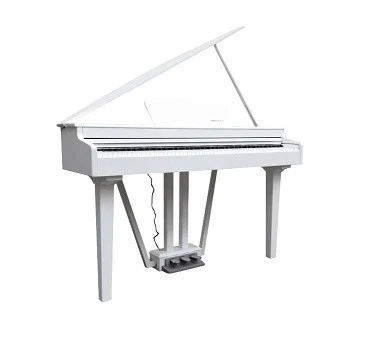 Echord GP10W Pianoforte Digitale a codino 88 Tasti Pesati Bianco - Immagine 1 di 1