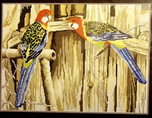 Rosella Parrots - A Little Saucy - Semco Artists Series counted cross-stitch kit - Picture 1 of 1