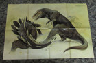 Dinosaurier, Tierfreund Poster, groß, gebraucht 90er, gefaltet RETRO