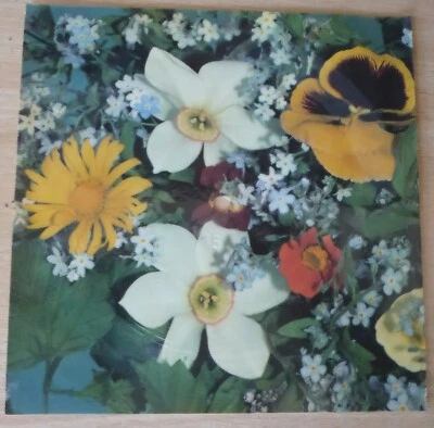 Flexi The Sweet  - Fox On The Run (1976)  - Bild 1 von 2