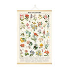 15,7x23,6 Zoll Vintage Wildblumen Poster  Schlafzimmer