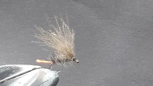 3 EMERGENTES OREJA DE LIEBRE COLA NARANJA PARA PESCA A MOSCA-EMER 24 - Imagen 1 de 1