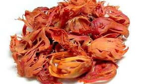 Indian Mace Javitri Whole – Pure Spice Flower | Natural Untreated Japatri - Picture 1 of 3