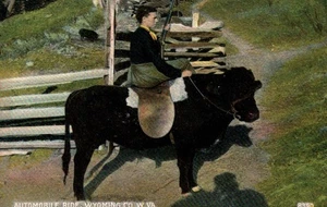 Girl with Gun on Bull Wyoming Co. W. Va. Vintage 1908 Postcard - Picture 1 of 2