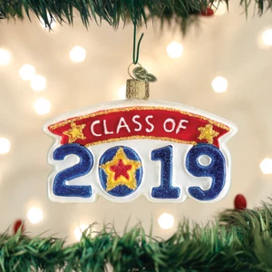 OLD WORLD CHRISTMAS CLASS OF 2019 GRADUATION GLASS CHRISTMAS ORNAMENT 36247 - Picture 1 of 4