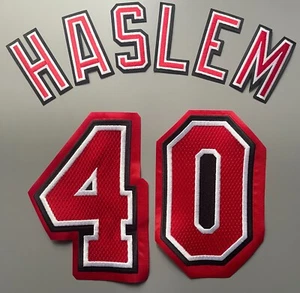 UDONIS HASLEM #40 HWC NBA Basketball MIAMI HEAT Jersey Rev30 Numbers + Name Set - Picture 1 of 4