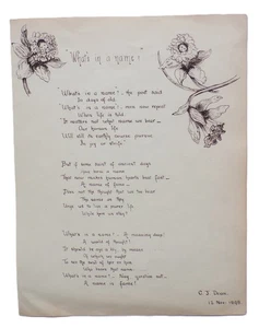 1898 Manuscript FLOWER FAIRY Original POEM Fairies Handwritten & Artwork Plants - Imagen 1 de 6