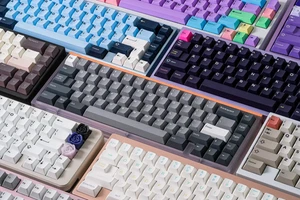 Custom Mechanical Keyboard Builds | Neo KeyChron Womier GMK Aula Monsgeek Yunzii - Picture 1 of 8