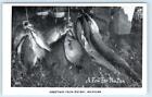 RPPC BIG BAY, MI Michigan ~ "A FEW for the PAN" Strings of FISH c1950s Postcard