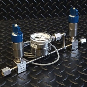 GTC Products - DV2-2A - Low Pressure Diaphragm Valve (2) & IPT122 Gauge Assembly - Picture 1 of 11