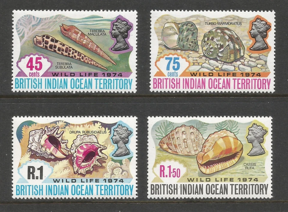 British Indian Ocean Territory 1974 SG 58-61 Sc 59-62 mint set of sea shells MNH - Image 1 of 1