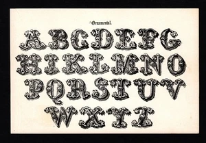 Arte de pared antiguo de caligrafía con impresión de fuente letra ornamental blanco y negro 6236n 1906 - Imagen 1 de 2