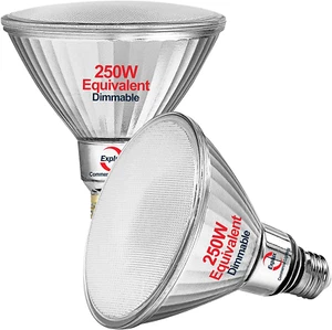 Super Bright Outdoor LED Flood Light Bulbs - 2-Pack - Picture 1 of 9