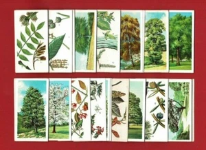 TREES IN BRITAIN (Blue Back) - BROOKE BOND - COMPLETE TEA TRADE CARD SET (TP01) - Picture 1 of 2