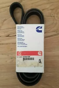 OEM Cummins BELT V RIBBED 3290128 Serpentine Belt Diesel genuine part original - Foto 1 di 4