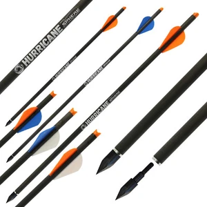 Jagdbolzen SPHERE Hurricane - Bodkin - Carbon - 16-22 Zoll, Armbrust Bolzen - Bild 1 von 5