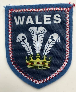 Wales Cymru Vintage Souvenir Tuch Aufnäher Abzeichen Prince of Wales Federn blau - Bild 1 von 1