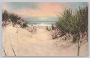 Sand Dunes and Sea Cape Cod Massachusetts Hand Colored Albertype UNP Postcard - Picture 1 of 2