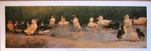 art print DUCKLINGS TAKE A DIP vintage baby ducks duck bird pond swimming 29x10 - Picture 1 of 1
