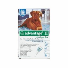 ebay advantage for dogs