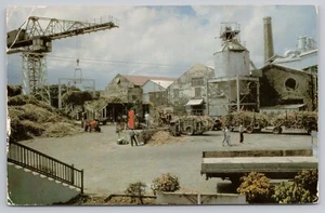 Postal UNP St Philip, fábrica de azúcar cuadrangular de Barbados, trabajadores de patio, cultivos - Imagen 1 de 4