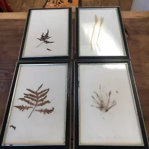 4 große Vintage schwarz und silber Holzbilderrahmen 43,5 x 27 cm - Bild 1 von 8