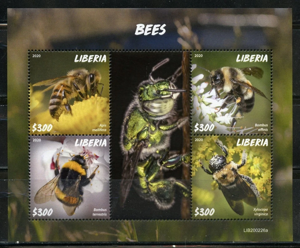 Liberia 2020 Api Foglio come Nuovo Mai Incernierato - Immagine 1 di 1