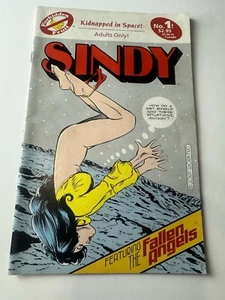 SINDY & THE GEFALLEN ANGELS #1 (VF) • Forbidden Fruit 1991 • John Workman - Bild 1 von 7
