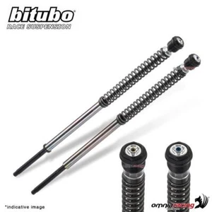 Adjustable JBH7 Bitubo fork cartridge HD FLTRXS Road Glide Special 2017-2024 - Bild 1 von 4