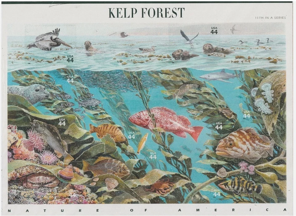 USA Stamp Sheet _ KELP FOREST _ 10 Pcs 44 Cent Stamp - MNH - Image 1 of 1