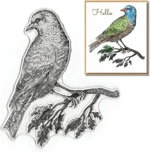 Clear Stamps for Card Making and Photo Album Decorations, Animal on Branches Cle - Picture 1 of 5