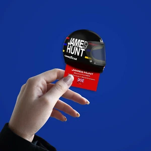 James Hunt F1 Champion 1976 Helmet Stickers Vinyl - Scuderia GP - Picture 1 of 1