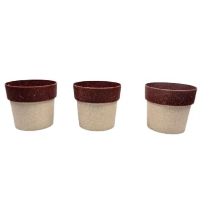 Pack of 3 Flower Pots for Home & Garden – Perfect Planters for Balcony Decor - Image 1 of 4