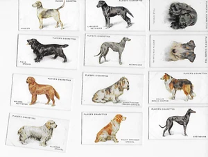 Tarjeta de cigarrillo de tabaco vintage para 12 piezas jugadores perros perros - Imagen 1 de 2