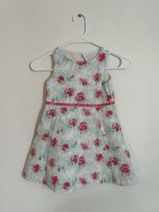 Janie And Jack 100% Cotton Pink Blue Floral Girls Sleeveless Dress Size 5 - Picture 1 of 5