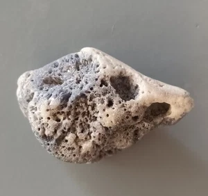 6.43 grams BLUE CORAL (bc11) - Picture 1 of 4