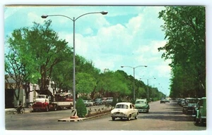 Vintage Postcard Paseo de Montejo Merida Yucatan Mexico Street View Old Cars - Picture 1 of 2