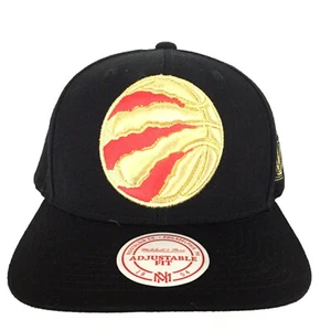 Toronto Raptors NBA Champions Mitchell & Ness Hat Logo Snap Back Basketball Cap - Picture 1 of 12