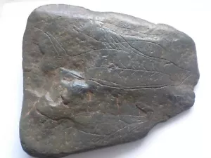Paleolithic portable art Dordogne France PALEOLITHIQUE FRANCE DORDOGNE - Afbeelding 1 van 6