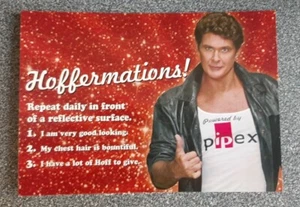 David Hasselhoff Promotional postcard for Pipex Broadband The Hoff Hoffermations - Picture 1 of 2