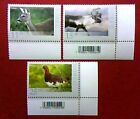 A-8 * Norway 2009 * Animals * Birds * Fauna * Set Of 3 Stamps * Mnh