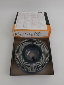 Lot 80 Color Slides Wildlife Coyote Osprey Eagle Deer Wolf Red Fox Big Horn Shee - Picture 1 of 12