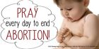 Pray To End Abortion Pro-Life Bumper Sticker