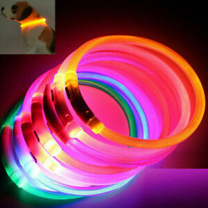 USB Charging Led Dog Collar  Anti-Lost/Avoid Car Accident Collar For Dogs Puppie