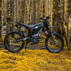 HEZZO Rerode R1 Electric Motorcycle Top Speed 53MPH Electric Bike 8000W MOTOR - Picture 1 of 13