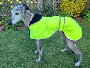 FACTORY SECOND - GREYHOUND / WHIPPET HI-VIS DOG COAT. MADE IN THE UK. - Picture 1 of 2