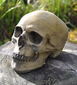 Skull human size stone gothic ornament aged finish 16cm/6.5" H - Picture 1 of 7